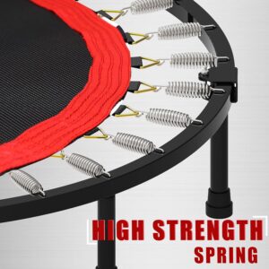 Kanchimi Rebounder Review